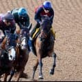 【府中牝馬Ｓ・１週前】ヴィクトリアマイル６着から反撃狙うニシノティアモ　上原佑調教師「体もできています」