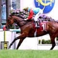 世界１位は引き続きカーインライジング　日本調教馬はフォーエバーヤング、クロワデュノールなど６頭がランクイン
