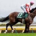 セレクト4.5億円のダノンエアズロック 約2年1カ月ぶりの勝利なるか