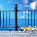 毎日のウォーキングで体に起こる10の変化｜毎日歩くと体はどう変わる？