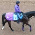 今をときめくキタサンブラック産駒の「長男」ジャスティンスカイが現役引退　今後は乗馬に