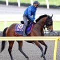 【宝塚記念・金曜気配】レガレイラは坂路で軽めの調整　木村調教師「元気に過ごしてくれているのは何より」