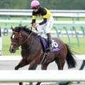 【注目馬動向】安田記念５着パンジャタワーはキーンランドＣからスプリンターズＳへ　橋口調教師「ベストはスプリント」