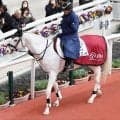 福士蒼汰×宝塚歌劇団×シロニイ...豪華メンバー宝塚記念は“ゲスト陣”も華やか！　ＪＲＡ公式Ｘが誘導馬を発表