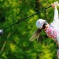 桑木志帆　今季２勝目へ首位浮上「手応えすごくいい」前日64、この日65と好調も一喜一憂せず