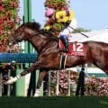 重賞３勝を挙げたノースブリッジが競走馬登録を抹消　東京競馬場で乗馬となる予定