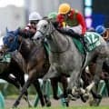 【府中牝馬S想定馬・騎手】コガネノソラ、ニシノティアモなど19頭