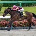 【函館スプリントS予想】前走3着以内の馬が馬券の中心!? 近況のリズムが冴えない軽視すべき一頭とは