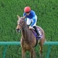【１３日の注目・阪神８Ｒ】桜花賞４着馬×Ｇ２・４着馬×エルフィンＳ２着馬...好素材の３歳牝馬がそろって出走