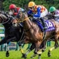半兄に天皇賞(春)覇者とJpnI・4勝馬 メイショウタカネがデビューV狙う
