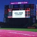 楽天－広島戦が降雨中断　三回の広島の攻撃中に大粒の雨