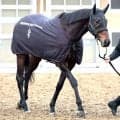 【宝塚記念・金曜気配】コスモキュランダは金曜輸送で万全の態勢　加藤士調教師「雰囲気はすごくいい」