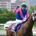 【宝塚記念過去10回傾向】“吉兆枠”は8枠 今年の該当馬はメイショウタバル＆レガレイラ＆ミステリーウェイ