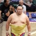 玉鷲＆玉正鳳が声優初挑戦　テレビ朝日系アニメ「天幕のジャードゥーガル」　コメント動画も公開