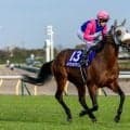 メイショウタバルで宝塚記念連覇へ…武豊騎手 今週の騎乗馬