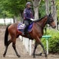 【宝塚記念・特選有力馬チェック】レガレイラは買うべき？
