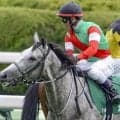 3歳馬の活躍目立つ函館SS 距離短縮組にも注目だ