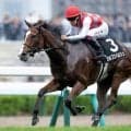 【函館SS予想】サマースプリント開幕戦 洋芝適性と持続力が試される重賞