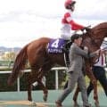 【競馬予想】宝塚記念で有力なのは前走・大阪杯組　タフな展開で浮上する伏兵の大駆けにも要注意