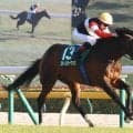 【競馬予想】宝塚記念は舞台合うミュージアムマイルが最有力　同じく好走条件がハマる伏兵にも一発の期待
