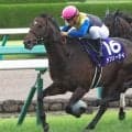 宝塚記念配当ランキング 1位は15年の52万8510円
