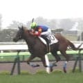 函館競馬が開幕！雨中の１Ｒはディーズメンフィスが逃げ切りＶ　舟山瑠泉騎手「馬場はまだ大丈夫」