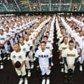 今夏の地方大会、沖縄からスタート　第108回全国高校野球選手権