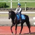 【東京ジャンプＳ】単勝１・２倍ジューンベロシティはまさかの２着　オジュウチョウサン以来史上２頭目のＪＲＡ同一重賞４連覇ならず