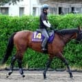 【宝塚記念・土曜気配】１年前は未勝利だった「上り馬」ミクニインスパイア　栗東で最終調整も落ち着き十分