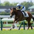 【函館5R新馬戦結果】サートゥルナーリア産駒ダイメイビッグボスが抜け出しV