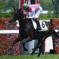 【阪神5R新馬戦結果】グレーターロンドン産駒ロンドンガーズが3馬身差V
