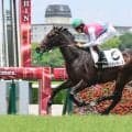 【阪神５Ｒ・２歳新馬】ロンドンガーズが３馬身差の楽勝　前川調教師は開業以来初の新馬勝ち「調教通りならと」