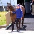 【宝塚記念】昨年は１１着惨敗…レガレイラが阪神競馬場に到着　陣営「慣れているので、変わらずゆったりと輸送できました」