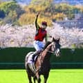 クロワデュノールに大口購入が続出？　単勝オッズが１頭だけ一桁台と豪華メンバーで“異常”な支持　