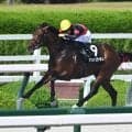【JRA・WIN5】本日のWIN5は的中616票、配当53万5980円