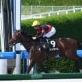 【三宮S結果】グランドプラージュが断然人気に応えて3馬身差V