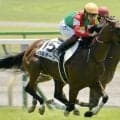 SNS等で話題のハルオーブ 阪神12Rで悲願の中央初勝利