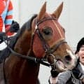 【函館スプリントＳ】１番人気レイピアは追い込み届かず３着まで　横山武史騎手「レースが流れなかったですね」