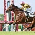 「号泣もん」「ドサ回りもして…」１１番人気で初勝利の６歳馬がＳＮＳで沸騰　善戦マンから地方を転々としたハルオーブ