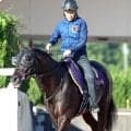 【宝塚記念】クロワデュノール単勝１・２倍の圧倒的人気　１０００万円超の購入時間帯が２度あるなど“大口投票”の影響か