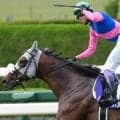 【宝塚記念過去10回傾向】直線の短い阪神芝2200m 逃げ・先行馬が有利なコース