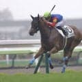 【函館1R】函館競馬開幕！オープニングレースは舟山瑠泉ディーズメンフィスがV