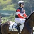 母は豪G1勝ち馬 モンローウォークが約10カ月ぶり復帰戦だ