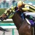 母は桜花賞馬のレジネッタ メモリアデルレがルメール騎手で新馬勝ちなるか