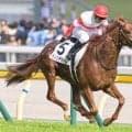 【宝塚記念】霜降り明星・粗品はダノンデサイルで勝負だ