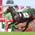 【阪神５Ｒ・２歳新馬戦】「強かった」松山弘平騎手も賛辞　ロンドンガーズが２歳レコードタイで快勝