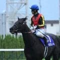 【今日の注目ポイント】上半期の総決算・宝塚記念