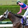 宝塚記念は実績馬が優勢か 逃げ馬にも要注意