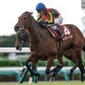 【宝塚記念予想】スピード持続型上がり最速馬を探すレース？ 過去データから探るGI宝塚記念