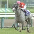 ステイゴールド産駒が最多5勝 宝塚記念の種牡馬別勝利数ランキング